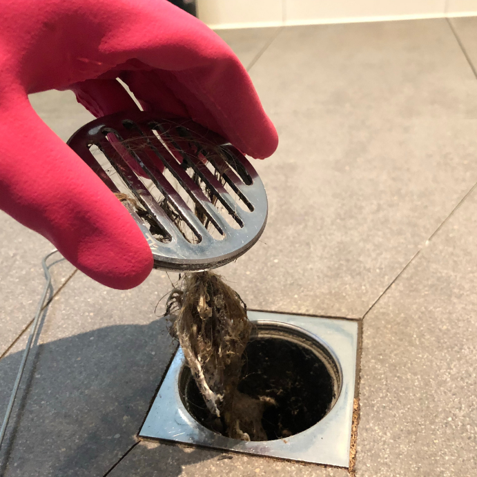 Person wearing pink gloves lifts a hair-filled drain strainer from a square floor drain, pulling tangled hair out of the opening.