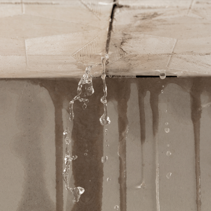 Water dripping from cracked ceiling tiles onto a damp, stained wall.